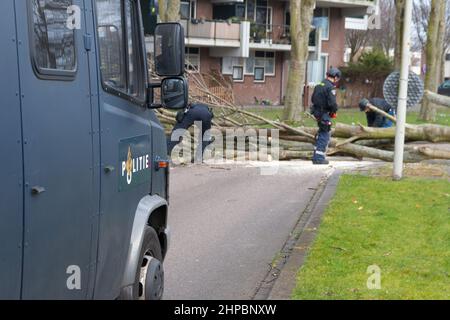 Den Haag, Niederlande - Februar 18 2022: Rettungsdienste entfernen gefallenen Baum über die Stadtstraße in den Niederlanden Stockfoto