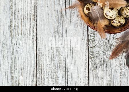 Wachteleier in einem Heu-Nest auf weißem Holzhintergrund Stockfoto