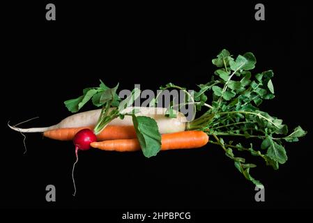 Gemüsegruppe auf schwarzem Hintergrund, Karotten, Rettich und Daikon Stockfoto