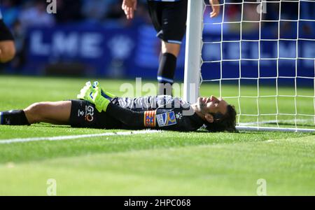 Barcelona, Spanien.20. Februar 2022. Diego Lopez (13) von RCD Espanyol während des spanischen La Liga-Spiels zwischen RCD Espanyol und dem FC Sevilla im RCDE-Stadion. Stockfoto