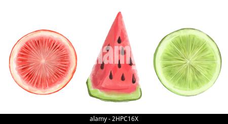 Set von saftigen realistischen Hand gezeichnet Aquarell Früchte. Vektorgrafik. Wassermelone, Zitrone, Grapefruit, Zitrusfrüchte. Stock Vektor