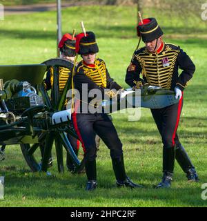 Königstruppe, Royal Horse Artillery, London Stockfoto