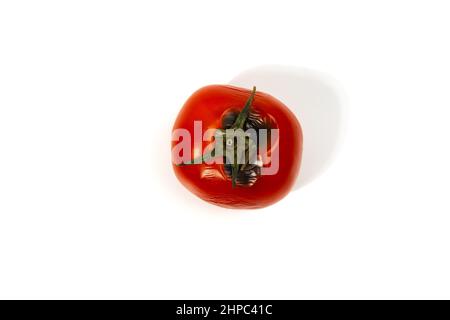 Faule Tomaten isoliert auf weißem Hintergrund Stockfoto