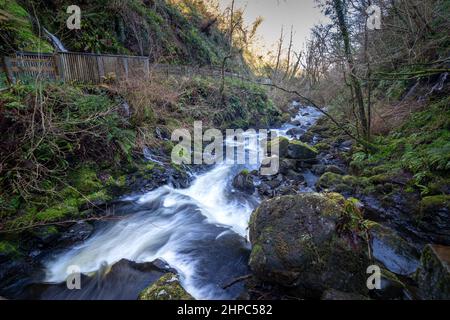 Cranny Waterfall im Winter, Carnlough, Nordirland Stockfoto