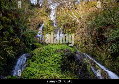 Cranny Waterfall im Winter, Carnlough, Nordirland Stockfoto