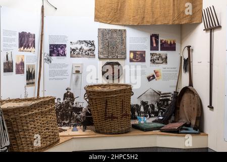 Curtis Museum, das Heimatkundemuseum im Stadtzentrum von Alton, Hampshire, England, Großbritannien. Ausstellung über Hopfenpflücken und Brauen Stockfoto