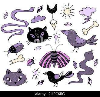 Set aus magischen Amulette, Symbolen und Hexenbestien. Schwarze Katze und Schlange, Krähe und Käfer, Motte und Schmetterling. Vektorgrafik. Isoliertes Element Stock Vektor