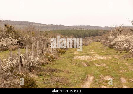 Rustikaler Zaun im Kuartango-Tal in nordspanien Stockfoto