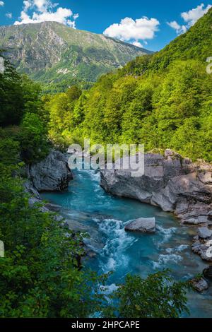 Bewunderungswürdige Naturlandschaft und Kajakziel. Malerischer Fluss Soca mit felsiger Küste im grünen Wald, Kobarij, Slowenien, Europa Stockfoto