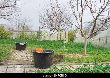 Entfernen von Unkraut .Entfernung von Dandelion. Reinigung des Gartens im Frühjahr. Handschuhe in einem Eimer auf Frühlingsgrün Garten Hintergrund Stockfoto