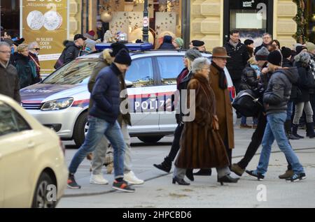 Wien. Österreich. 31. Dezember 2015. Terrorbedrohung am Silvesterpfad 2015/2016 in Wien. Massive Polizeipräsenz und Spezialeinheiten sichern die Innenstadt Stockfoto