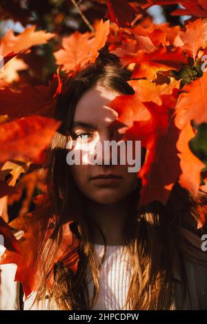 Porträt einer jungen Frau, die im Herbst zwischen roten Blättern steht Stockfoto