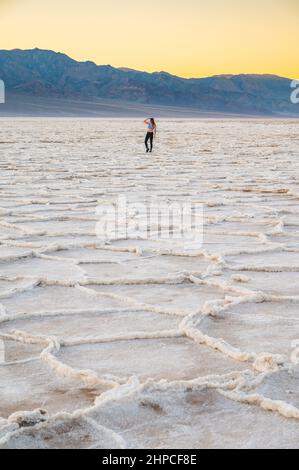 Weibchen posiert in Badwater im Death Valley National Park Stockfoto