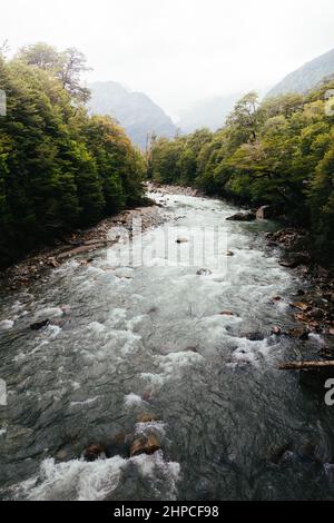 Blick von oben auf einen patagonischen Fluss und einen grünen Wald am Flussufer Stockfoto