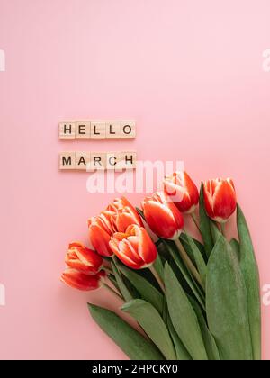 Hallo märz Konzept. Ästhetischer Hintergrund für den Beginn des Frühlings. Hallo märz Text und ein paar rote Tulpe auf rosa Hintergrund. Ansicht von oben oder flach liegend. Vertikal Stockfoto