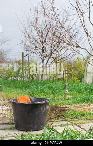 Entfernen von Unkraut .Entfernung von Dandelion. Reinigung des Gartens im Frühjahr. Handschuhe in einem Eimer auf Frühlingsgrün Garten Hintergrund Stockfoto