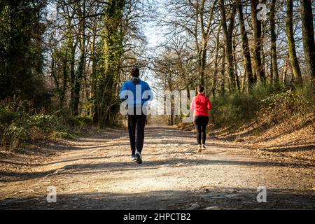 Schönes junges Paar läuft im Wald. Das Paar trainiert im Park in Italien. Konzept von Sport und Wellness im Kontakt mit der Natur. Stockfoto