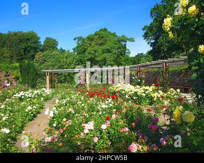 Im Stuttgarter Stadtpark namens Killespark Stockfoto