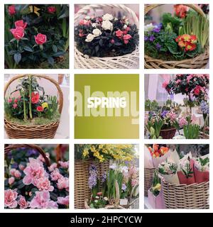 Set von verschiedenen Blumensträußen aus Frühlingsblumen. Frische Schnittblumen für die Dekoration zu Hause. Europäischer Blumenladen. Schönes Bouquet von gemischten Blumen . Liefern Stockfoto