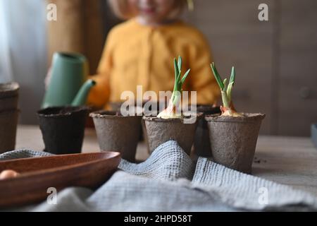 Konzept der Gartenarbeit. Kleines Mädchen ist bei der Pflanzung von Samen für Sämlinge beschäftigt, Gießen Erde in Töpfe für den Anbau von Kulturen. Stockfoto