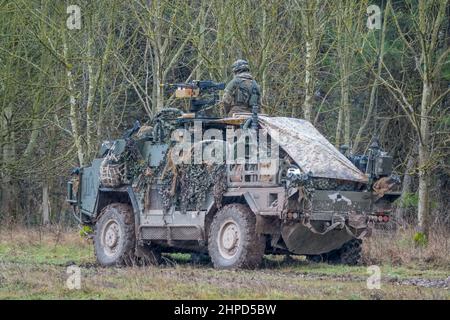 Britische Armee Supacat Jackal 4x4 Schnellangriff, Feuerunterstützung und Aufklärungsfahrzeuge auf einem militärischen Kampftraining Übung, Wiltshire UK Stockfoto