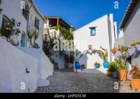 Frigiliana, Provinz Malaga. Andalusien, Spanien Stockfoto