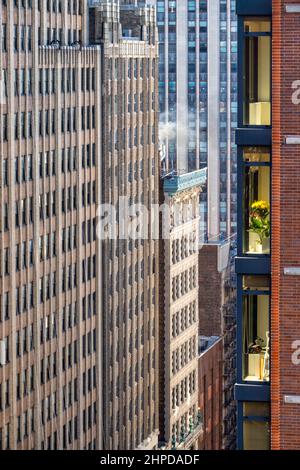 Gelbe Blumen in einem Fenster eines Wohnhauses, gefangen in der Sonne in einem Meer von Bürogebäuden, New York City, USA 2022 Stockfoto