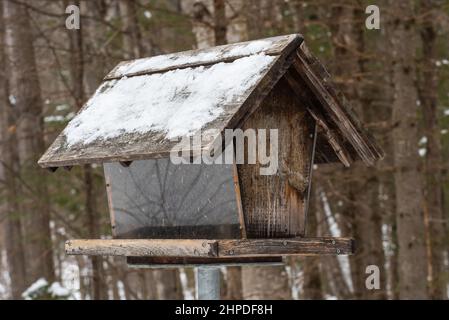 Vogelfutterhäuschen im Winter im Cap-Tourmente National Wildlife Area an der Beaupre-Küste bei Saint-Joachim (Quebec, Kanada) Stockfoto