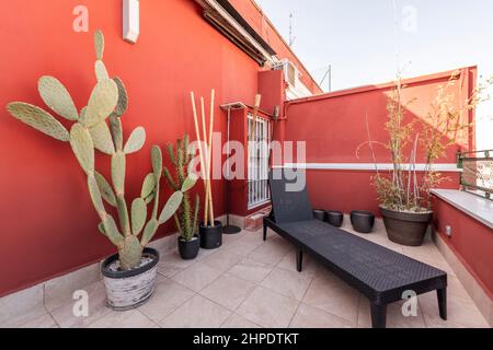 Terrasse eines Hauses, in dem sich große Topfkakteen, eine schwarze Rattanhängematte und mehrere Töpfe befinden Stockfoto