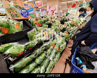 Hongkong, China. 20th. Februar 2022. Menschen wählen Gemüse in einem Supermarkt in Hongkong, Südchina, 20. Februar 2022. Quelle: Wang Shen/Xinhua/Alamy Live News Stockfoto