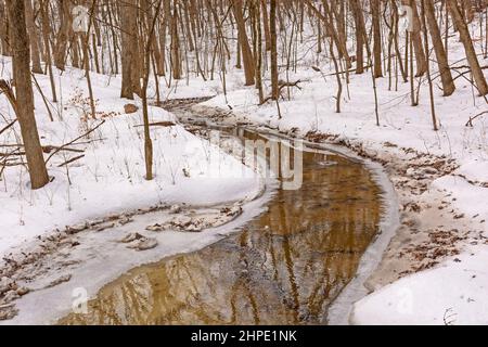 Quiet Stream Wending seinen Weg durch den Winterwald im Hungered Rock State Park in Illinois Stockfoto