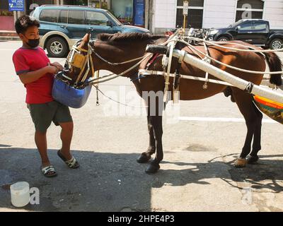 Manila, Philippinen. 18th. Februar 2022. Ein kleiner Junge füttert sein Pferd in Manila. Kredit: SOPA Images Limited/Alamy Live Nachrichten Stockfoto
