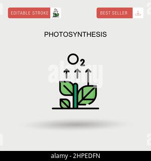 Einfaches Vektorsymbol für Photosynthese. Stock Vektor