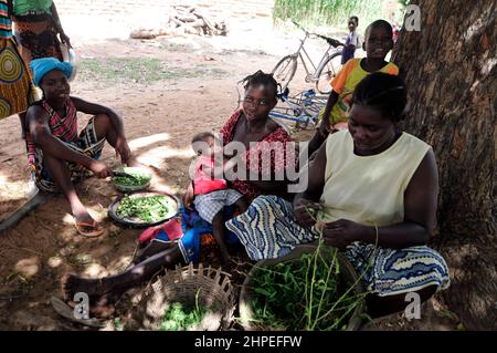 Eine burkinische Frau, die ihr Baby auf einem lokalen Markt in Zentral-Burkina Faso stillt. Stockfoto