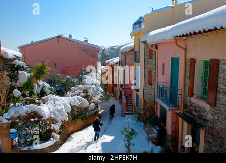 FRANKREICH Pyrenees Orientales Roussillon Côte vermeille collioure lever Soleil Stockfoto