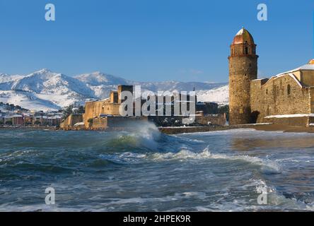 FRANKREICH Pyrenees Orientales Roussillon Côte vermeille collioure Stockfoto