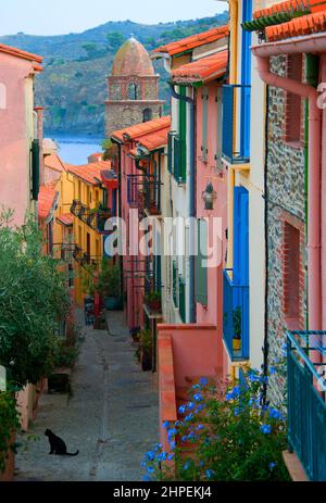 FRANKREICH Pyrenees Orientales Roussillon Côte vermeille collioure Stockfoto