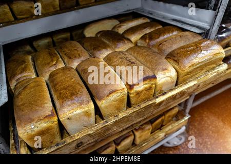 Frisch gebackenes Brot aus dem Ofen auf Backblechen. Stockfoto