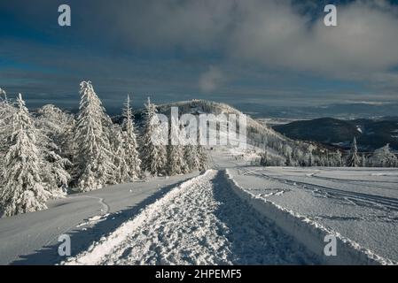 Winter in den Beskiden mit Blick auf Klimczok, Beskid Slaski, Polen Stockfoto