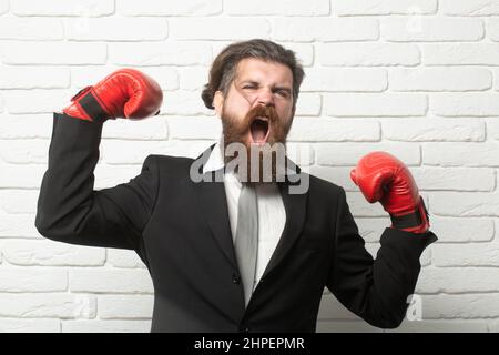 Verrückter Mann beim Boxen. Lustig aufgeregt Boxer Geschäftsmann. Junger Mann im Anzug und Boxhandschuhen, Geschäftsgewinnerin. Wütend lustig bärtigen Geschäftsmann. Stockfoto