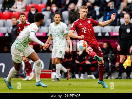 München, Deutschland. 20th. Februar 2022. Joshua Kimmich (R) von Bayern München übergibt den Ball bei einem Bundesliga-Spiel zwischen Bayern München und der SpVgg Greuther Fürth am 20. Februar 2022 in München. Quelle: Philippe Ruiz/Xinhua/Alamy Live News Stockfoto