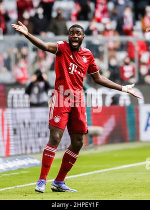 München, Deutschland. 20th. Februar 2022. Dayot Upamecano von Bayern München reagiert während eines Bundesliga-Spiels zwischen Bayern München und SpVgg Greuther Fürth am 20. Februar 2022 in München. Quelle: Philippe Ruiz/Xinhua/Alamy Live News Stockfoto