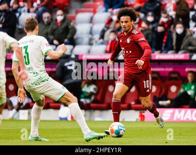 München, Deutschland. 20th. Februar 2022. Leroy Sane (R) von Bayern München kontrolliert den Ball bei einem Bundesliga-Spiel zwischen Bayern München und der SpVgg Greuther Fürth am 20. Februar 2022 in München. Quelle: Philippe Ruiz/Xinhua/Alamy Live News Stockfoto