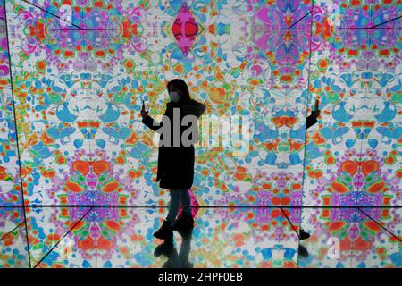 Besucher in einem Raum mit der digitalen immersiven Kunst des Studio Irma im Moco Art Museum von Amsterdam Stockfoto