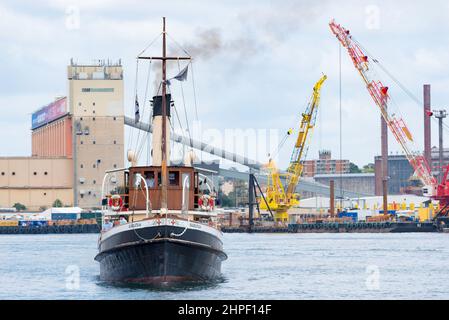 Der kohlebefeuerte Dampfschlepper Waratah aus dem Jahr 1902 macht seinen Weg von seiner Heimat mit der Sydney Heritage Fleet in Roselle Bay nach Pyrmont im Hafen von Sydney Stockfoto