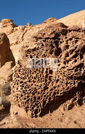 Tafoni, Felsspitze, schweizer Käsegestein oder Wabengestein sind eine einzigartige Art der Erosion, die normalerweise in bestimmten Sandsteinarten zu finden ist. Chaco Culture Nationa Stockfoto