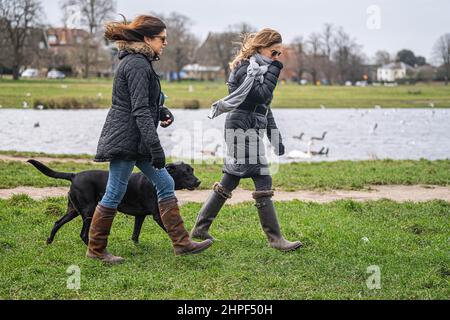 WIMBLEDON LONDON, GROSSBRITANNIEN. 21. Februar 2022. Hundewanderer trotzen heute Morgen dem starken Wind auf dem Wimbledon Common, im Südwesten Londons, da nach dem dritten Sturm in einer Woche nach dem Sturm Dudley und Eunice weiterhin starke Winde auf London und die Südküste zuschlagen. Das Met Office hat heute weitere gelbe und bernsteinfarbene Wetterwarnungen für Sturm Franklin herausgegeben, deren Böen mehr als 80mph erreichen.Quelle: amer ghazzal/Alamy Live Ne Stockfoto