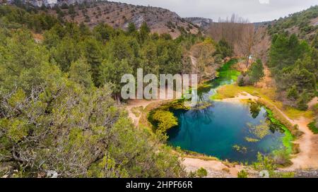 Naturdenkmal von La Fuentona, La Fuentona de Muriel, Naturschutzgebiet, Fluss Abión, Cabrejas del Pinar, Soria, Kastilien Leon, Spanien, Europa Stockfoto