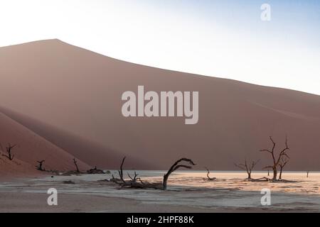 Perfektes Licht von der Sonne ig geht auf die duna, Namibia. Stockfoto