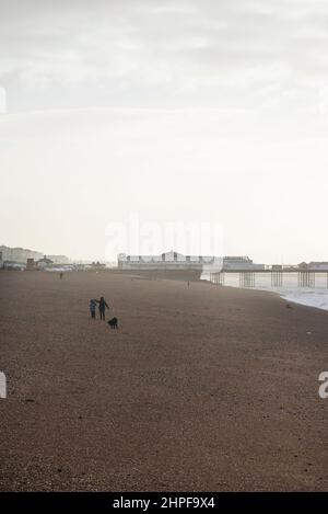 Brighton & Hove, East Sussex. 21st. Februar 2022. Wetter in Großbritannien. Sturm Franklin, der dritte benannte Sturm in einer Woche, bringt starke Winde an die Südküste, hier bei Ebbe abgebildet. Das Met Office hat eine gelbe Warnung wegen starker Winde ausgegeben. Stockfoto